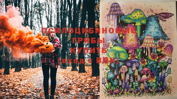 бутират Магадан