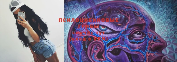 прущая мука Майский